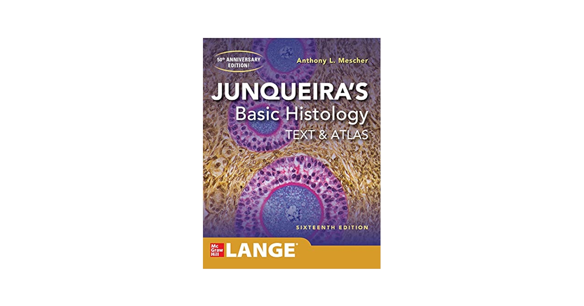 Junqueira's Basic Histology Text & Atlas: Mescher Anthony